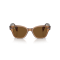 Ray-Ban RB 0880S 664057 Güneş Gözlüğü, Resim 6